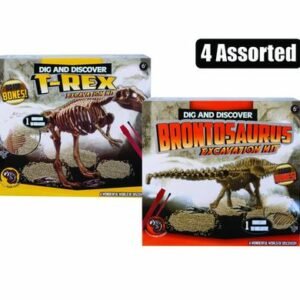 Edu excavation dinosaur kit